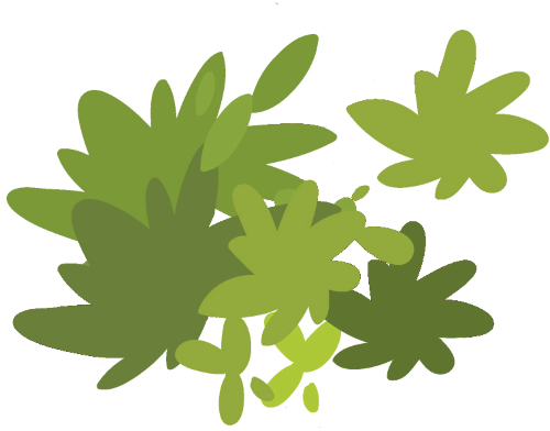 leaf